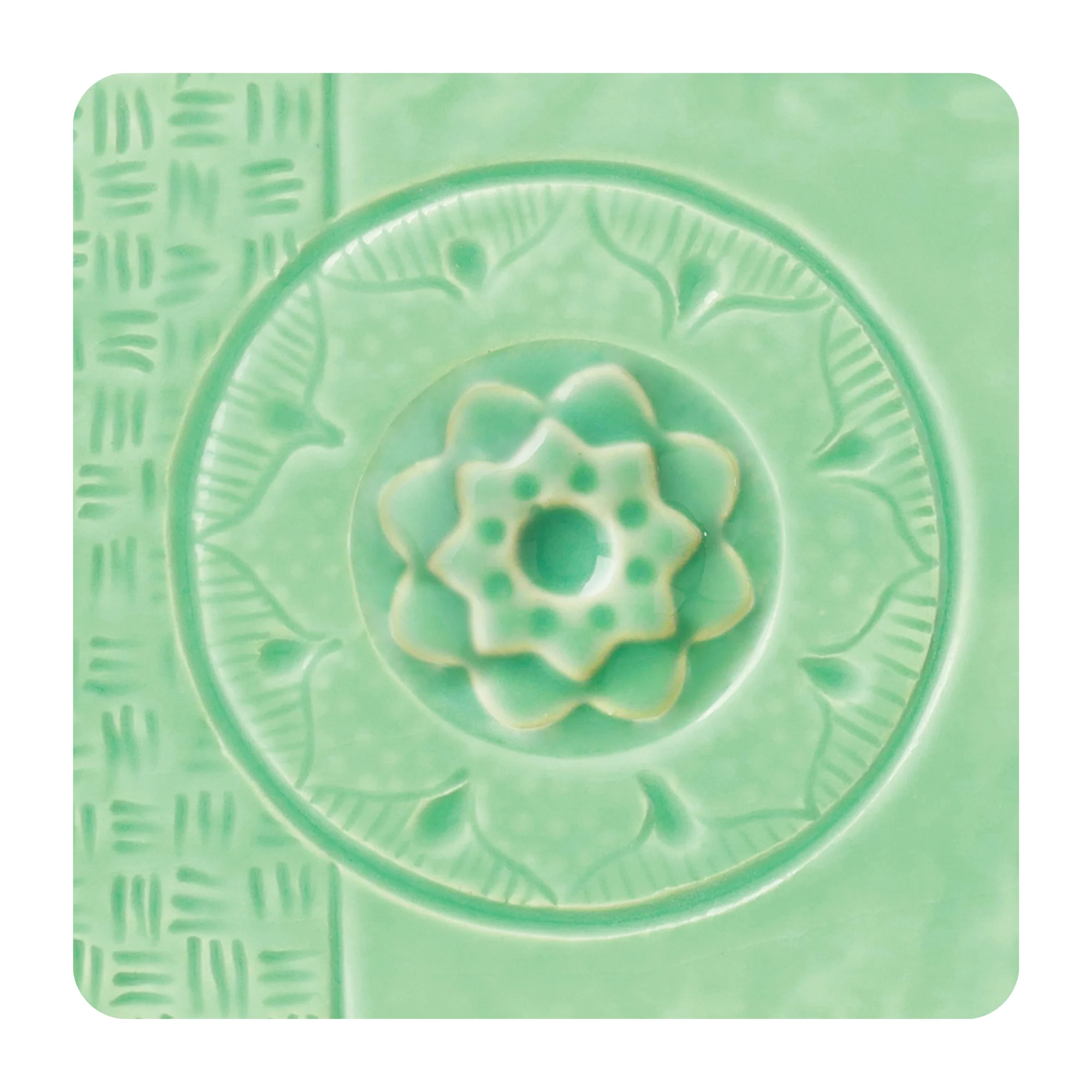 AMACO SUCCULENT C-24