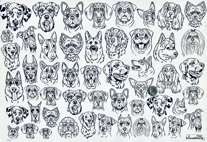 ELAN TRANSFERS UNDERGLAZE DECAL  - DOGS - Image 3