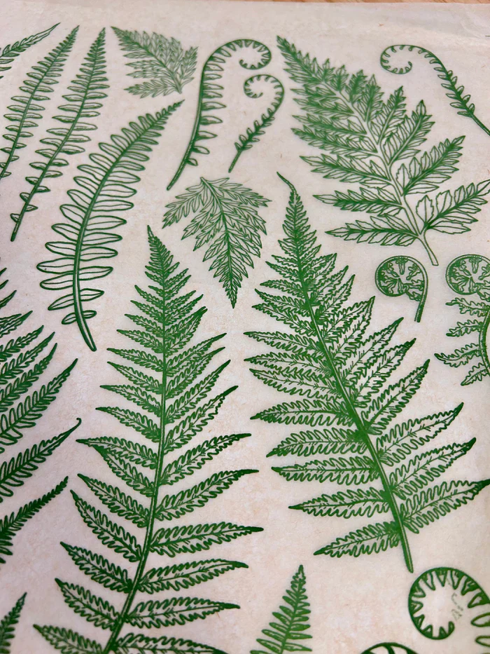 ELAN TRANSFERS UNDERGLAZE DECAL - JUNGLE FERNS - Image 2