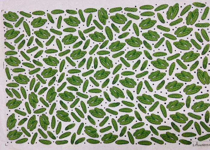 ELAN TRANSFERS UNDERGLAZE DECAL - PICKLES - Image 4